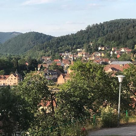 Chez Jose Apartment Rothau Luaran gambar
