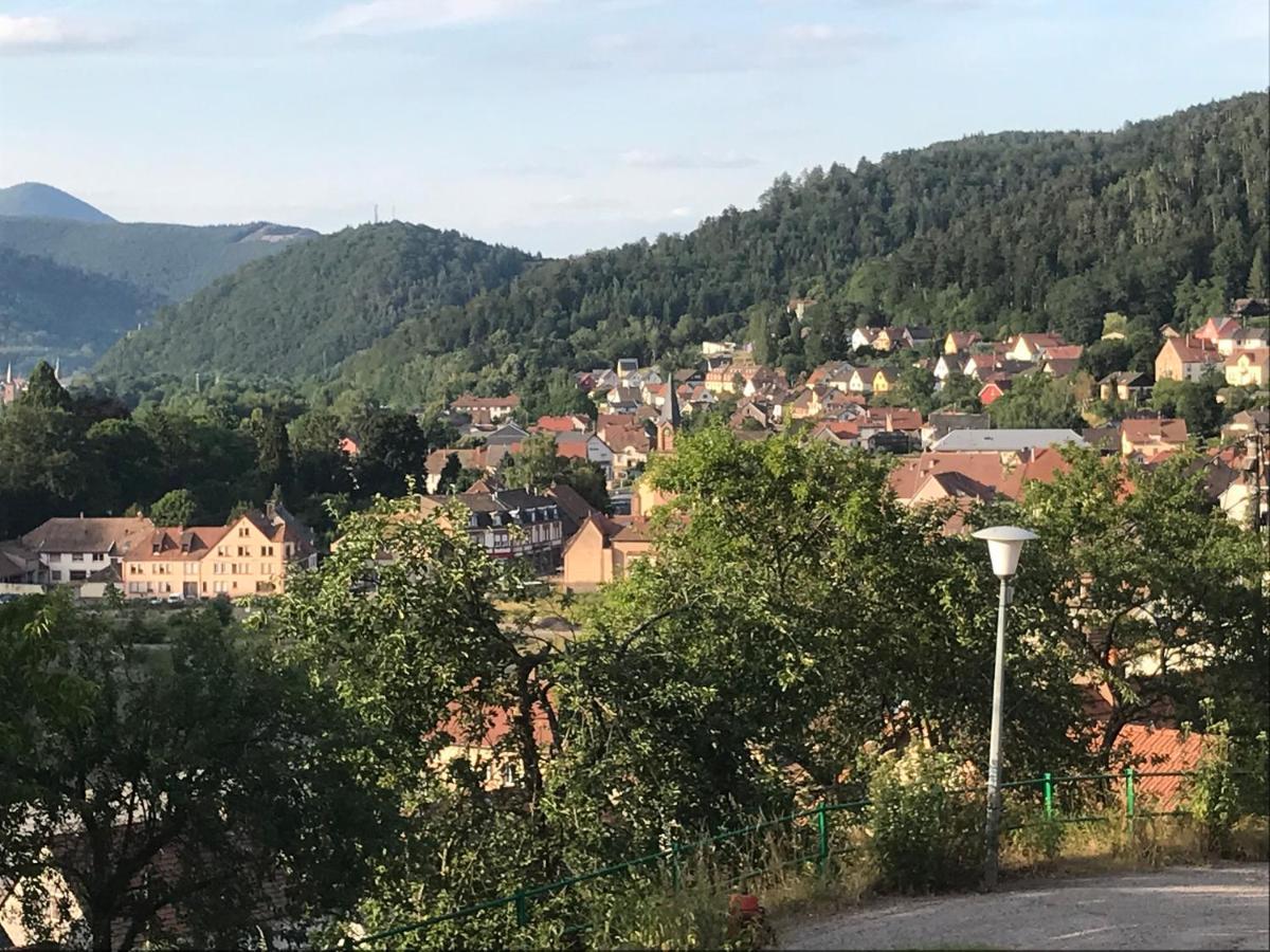 Chez Jose Apartment Rothau Luaran gambar